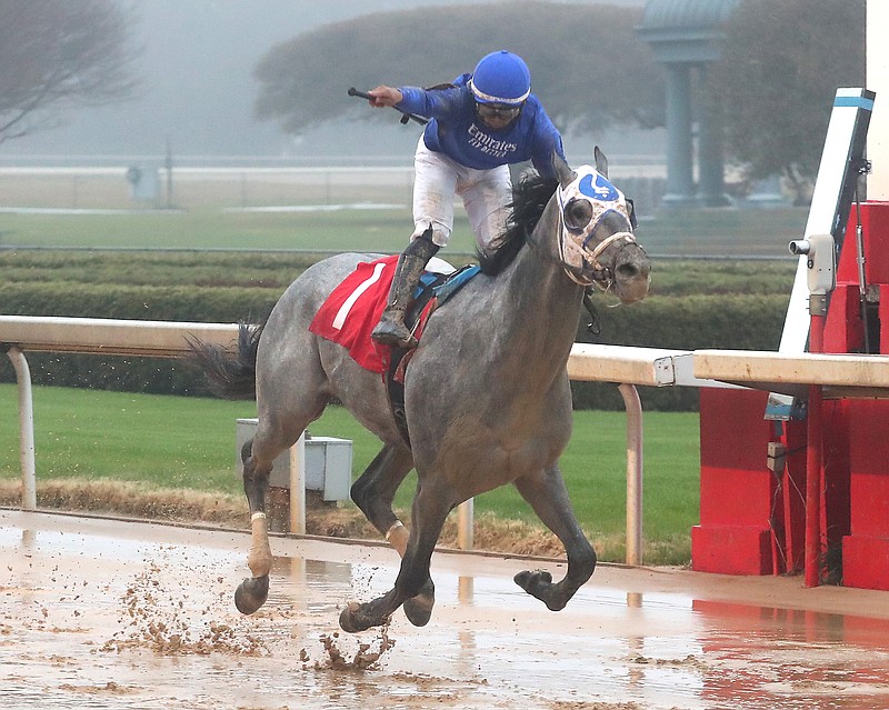 Jockey Luis Saez celebrates as he crosses the finish line aboard Essential Quality to win the Southwest Stakes at Oaklawn Park Saturday. - Photo by Richard Rasmussen of The Sentinel-Record