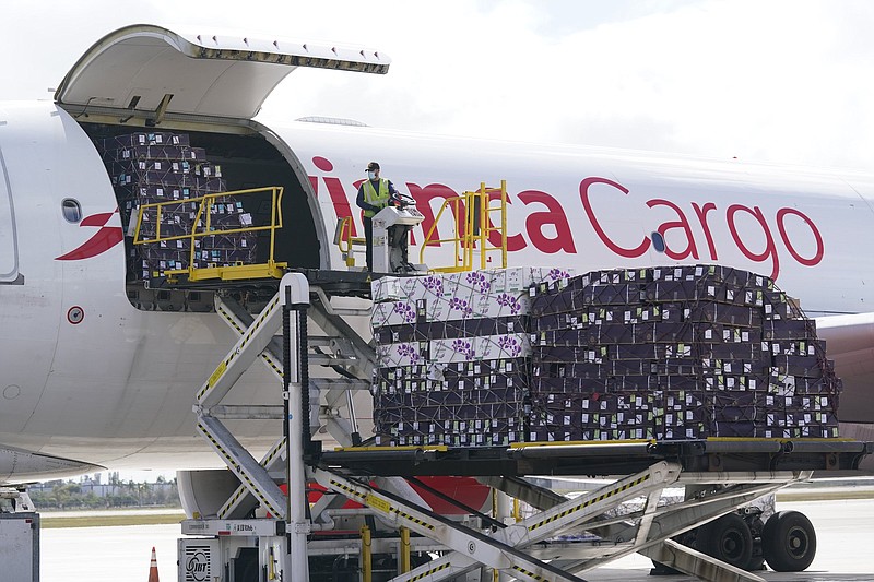 A worker unloads pallets of imported cut flowers from an Airbus A330-200F aircraft in advance of Valentine's Day, at a warehouse at Miami International Airport, Thursday, Feb. 11, 2021, in Miami. According to CBP, the airport receives 89 percent of all U.S. flower imports by air – a total of 240,162 tons valued at $1.1 billion in 2019.