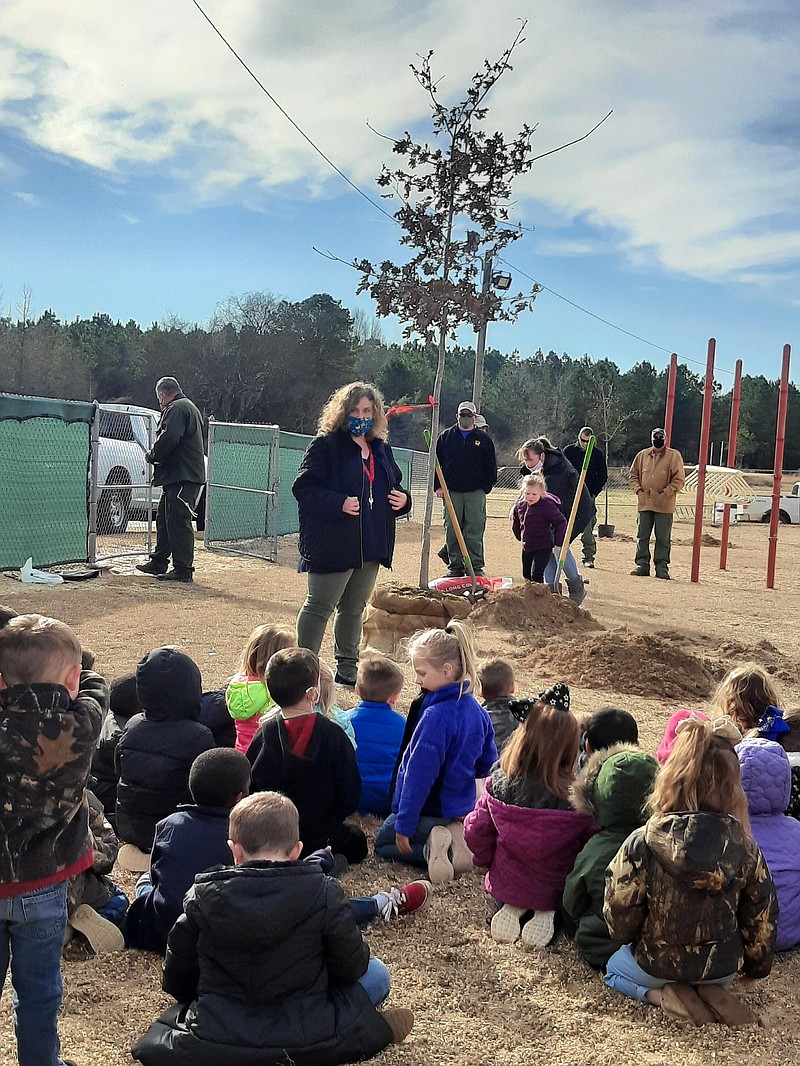 Shade tees added to local preschool playgrounds to promote later health