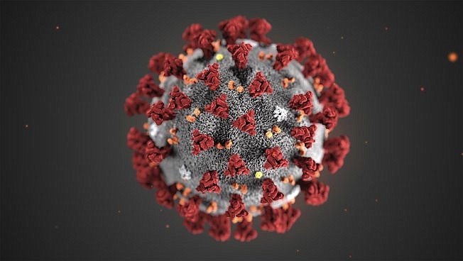 This illustration provided by the Centers for Disease Control and Prevention shows the 2019 Novel Coronavirus (2019-nCoV). (Photo by Associated Press)