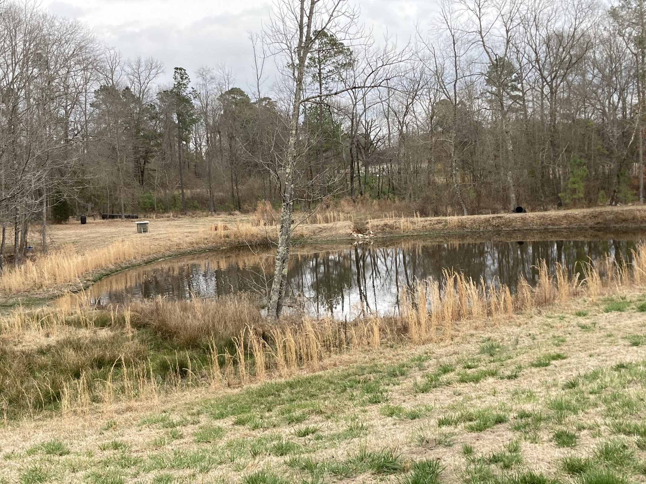 Expert offers steps on protecting ponds