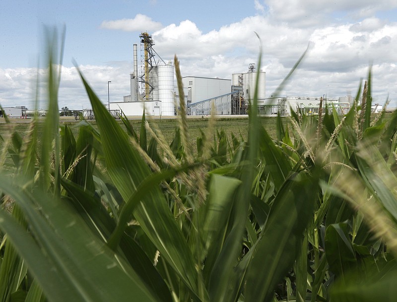 In this 2013 file photo, an ethanol plant stands next to a cornfield near Nevada, Iowa.
(AP/Charlie Reidel)