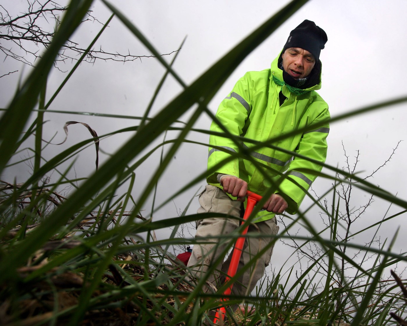 Forage expert to help research
