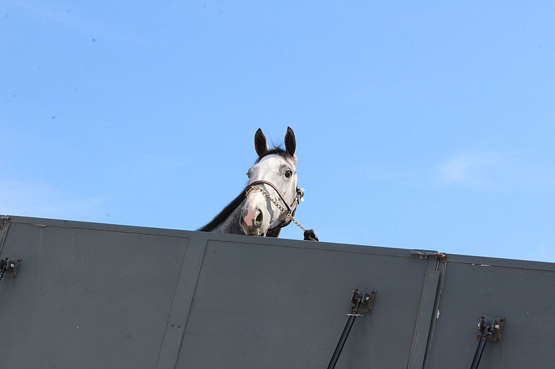 When horses fly Friends offered a peek inside a plane tailored to