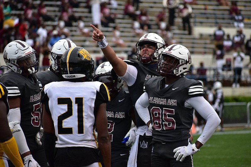 Alabama A&M quarterback Aqeel Glass points at the scoreboard and wide receiver Jurail Caldwell exchanges words with UAPB rover Jalon Thigpen in the fourth quarter Saturday in Jackson, Miss.
(Pine Bluff Commercial/I.C. Murrell)