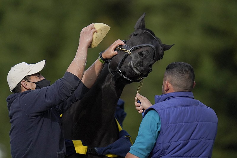 Kentucky Derby winner Medina Spirit is bathed Wednesday after a workout ahead of today’s Preakness Stakes at Pimlico Race Course in Baltimore. The colt, trained by Bob Baffert, was cleared Friday to run in the second leg of the Triple Crown. More photos at arkansasonline.com/515pimlico/
(AP/Julio Cortez)