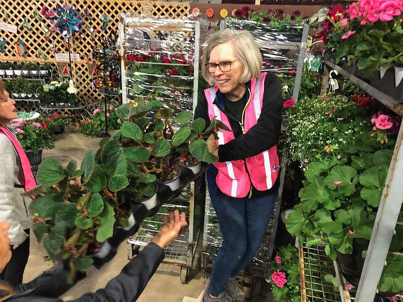 Kay Fellone of Little Rock, a member of the Master Gardeners and volunteer with the 2020 Arkansas Flower and Garden Show, helps unload flowers during the show’s setup Feb. 27, 2020. The Arkansas Master Gardeners will hold their free virtual auction today through June 11, which coincides with their virtual annual conference.
(Special to The Commercial/ Ryan McGeeney, University of Arkansas System Division of Agriculture)