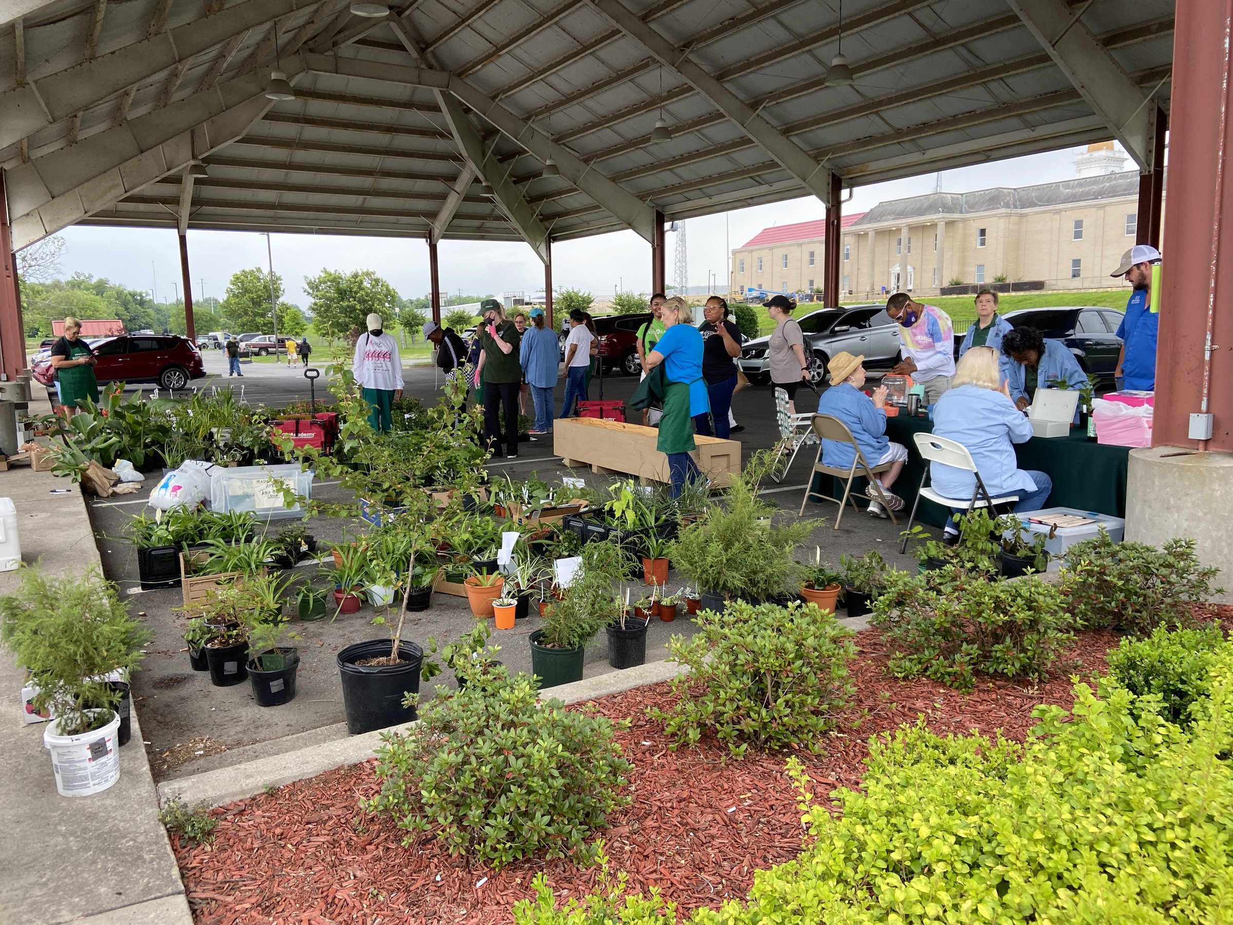 Plant sale finances garden group
