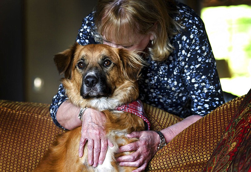 Linda Oswald hugs 2-year-old dog Tilly at their home in Hayden, Idaho, on Tuesday, June 8, 2021. The dog vanished for two days after being ejected from a vehicle during a car accident, and was found apparently doing the job it was bred to do — herding sheep. (Kathy Plonka/The Spokesman-Review via AP)