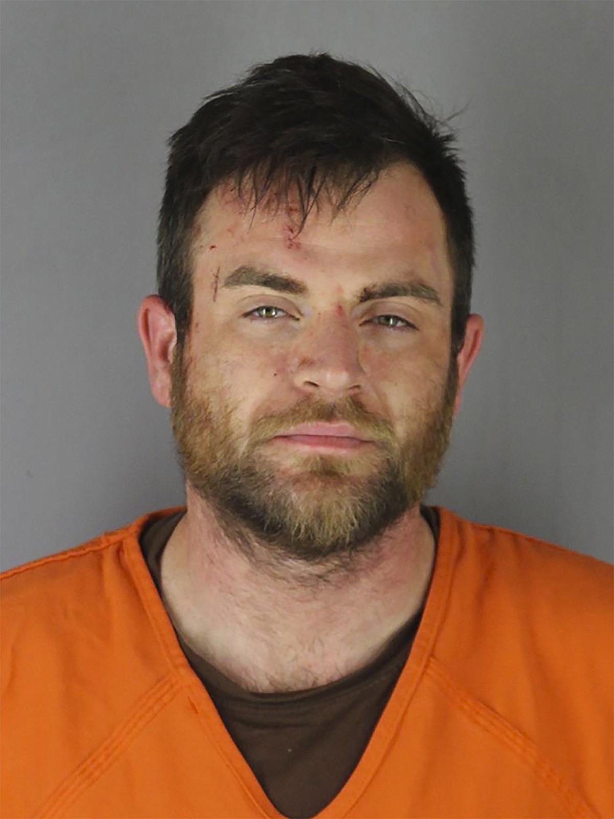 Man who drove at Minneapolis protesters charged with murder | Camden News