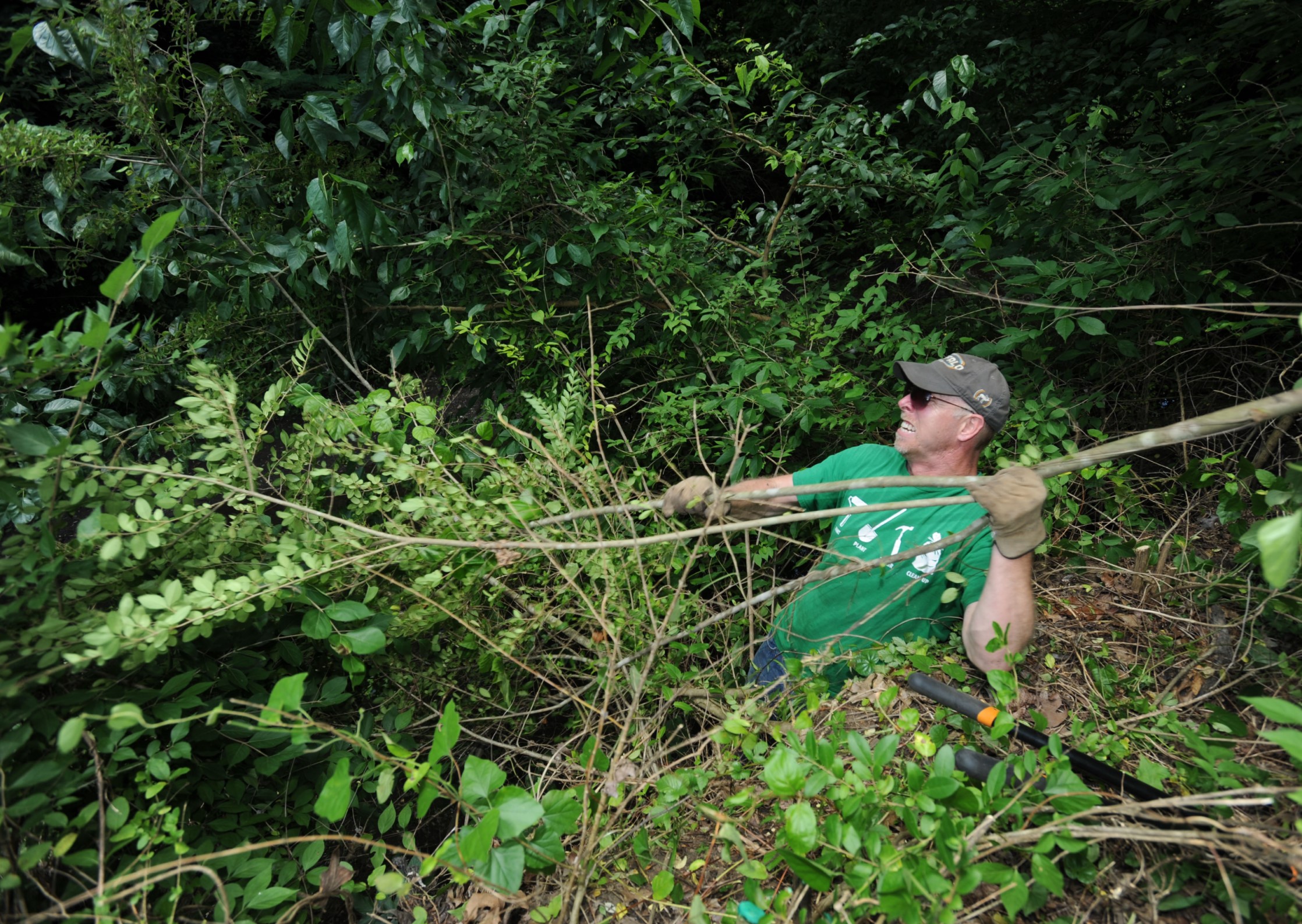 Class to remove invasive privet