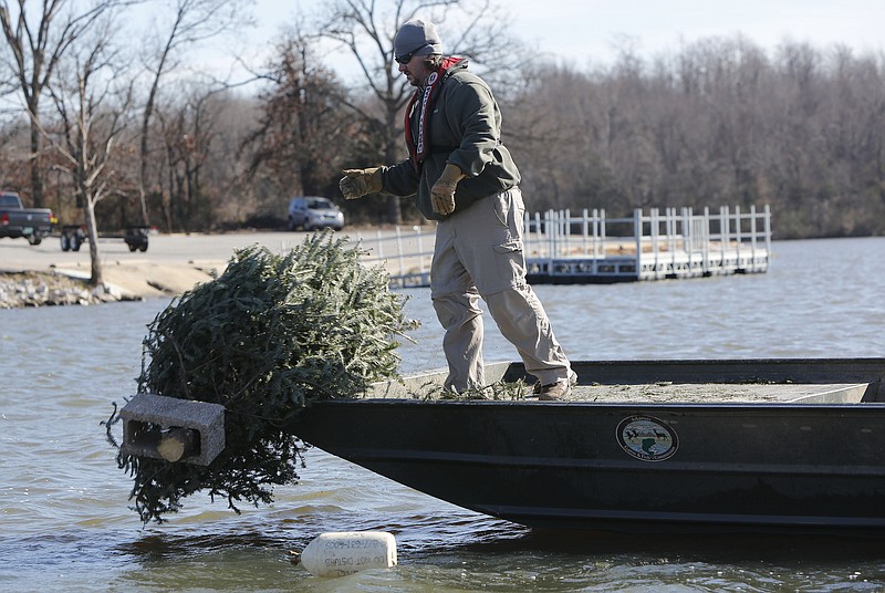 Kevin Hopkins, a fisheries biologist with the Arkansas Game and Fish Commission, drops a Christmas tree tethered to cinder blocks from a 22-foot boat into Lake Elmdale east of Springdale in this Jan. 13, 2016, file photo. The trees become habitat for fish in the lake. (NWA Democrat-Gazette file photo)