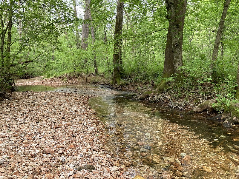Lush forest and clear water await hikers along the Sinking Stream Trail at Hobbs State Park-Conservation Area east of Rogers.
(NWA Democrat-Gazette/Flip Putthoff)