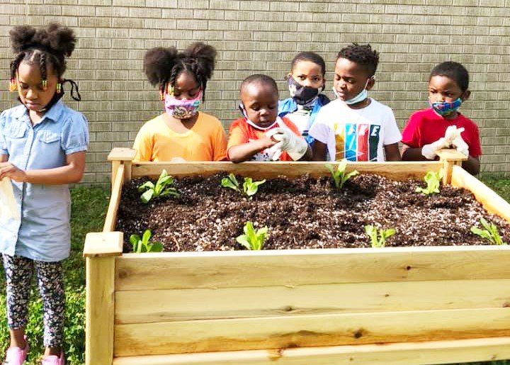 UAPB project teaches gardening to students at Pine Bluff schools