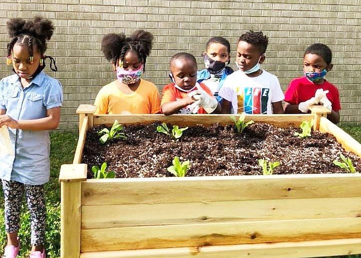 Children have been busy planting lettuce, tomatoes, cabbage and bell peppers thanks to a National Institute of Food and Agriculture grant awarded to the University of Arkansas at Pine Bluff. 
(Special to The Commercial/University of Arkansas at Pine Bluff)
