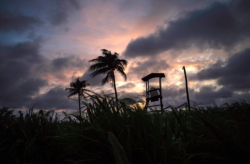 Wind moves the grass and palm trees under a cloudy sky after the passage of Tropical Storm Elsa in Havana, Cuba, Monday, July 5, 2021. (AP/Ramon Espinosa)