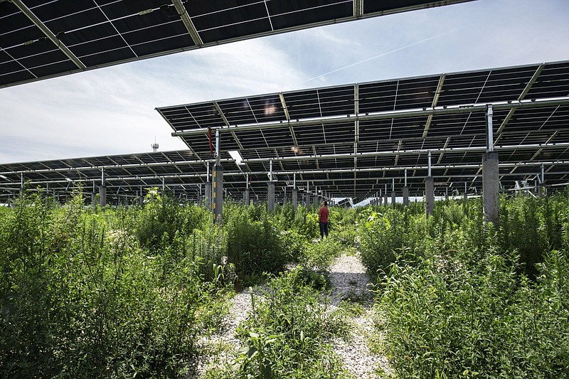 Photovoltaic modules stand at a solar power plant co-owned by Longi Green Energy Technology and China Three Gorges in Tongchuan, China, in July 2020.
(Bloomberg (WPNS)/Qilai Shen)