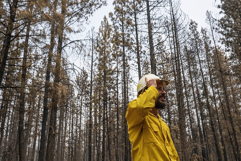 Firefighter Jacob Walsh surveys burned trees Wednesday on the northeast side of the Bootleg Fire near Sprague River, Ore.
(AP/Nathan Howard)