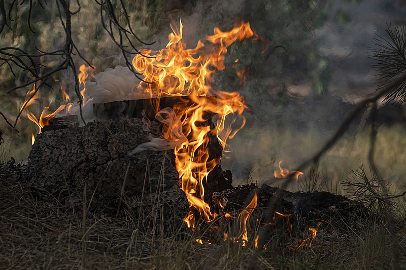 Spot blazes pop up near fire-damaged trees Thursday in Paisley, Ore.
(AP/Nathan Howard)