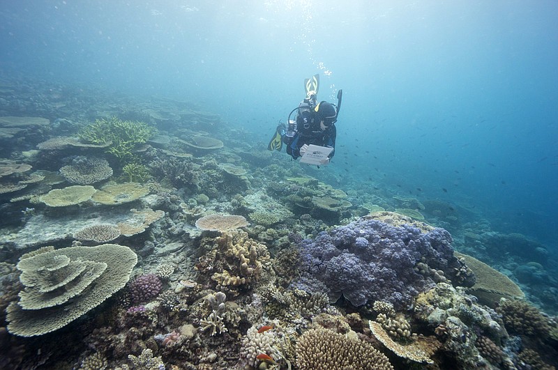 Australia’s Great Barrier Reef faced being placed on UNESCO’s “in danger” list because of damage attributed to climate change. International support Friday deferred the question until 2023.
(AP/Great Barrier Reef Marine Park Authority)