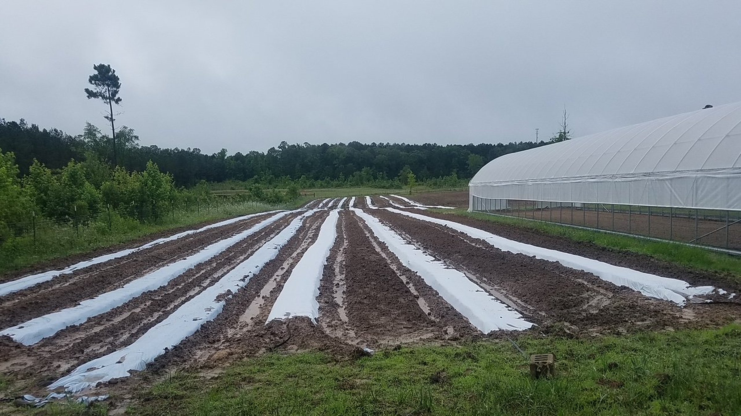 Program at UAPB helps couple’s farm-owning dreams come true