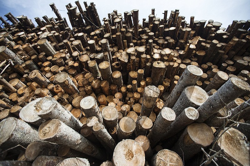 Logs sit stacked at the Groupe Crete Inc. sawmill in Chertsey, Quebec, in this file photo. Lumber prices have cooled recently along with a decline in house renovations.
(Bloomberg WPNS/Christinne Muschi)