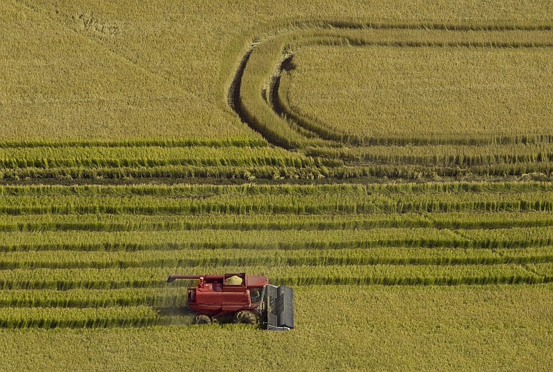 A combine plows rice in a field near Bethany Road in Scott in this November 2014 file photo. (Arkansas Democrat-Gazette file photo)