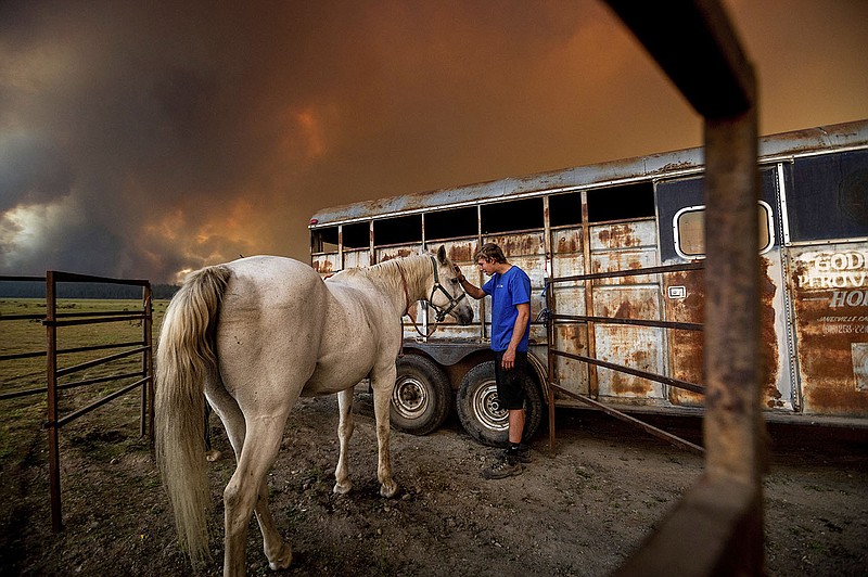 Hunter McKee calms a horse, Rosy, Tuesday after helping to relocate her to the edge of Lake Almanor as the Dixie Fire approaches Chester, Calif.
(AP/Noah Berger)