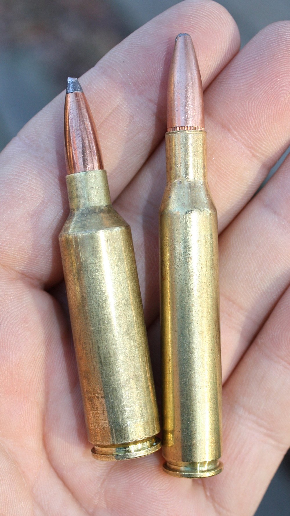 The short, fat case of the 270 WSM holds more powder and cycles through a short action compared to the long, slender case of the more traditional 270 Winchester.
(Arkansas Democrat-Gazette/Bryan Hendricks)