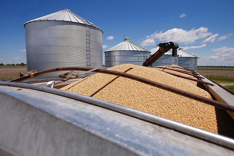 Soybeans awaiting transport sit in a truck bed in Delaware, Ohio, in this May 14, 2019, file photo. (AP/Angie Wang)