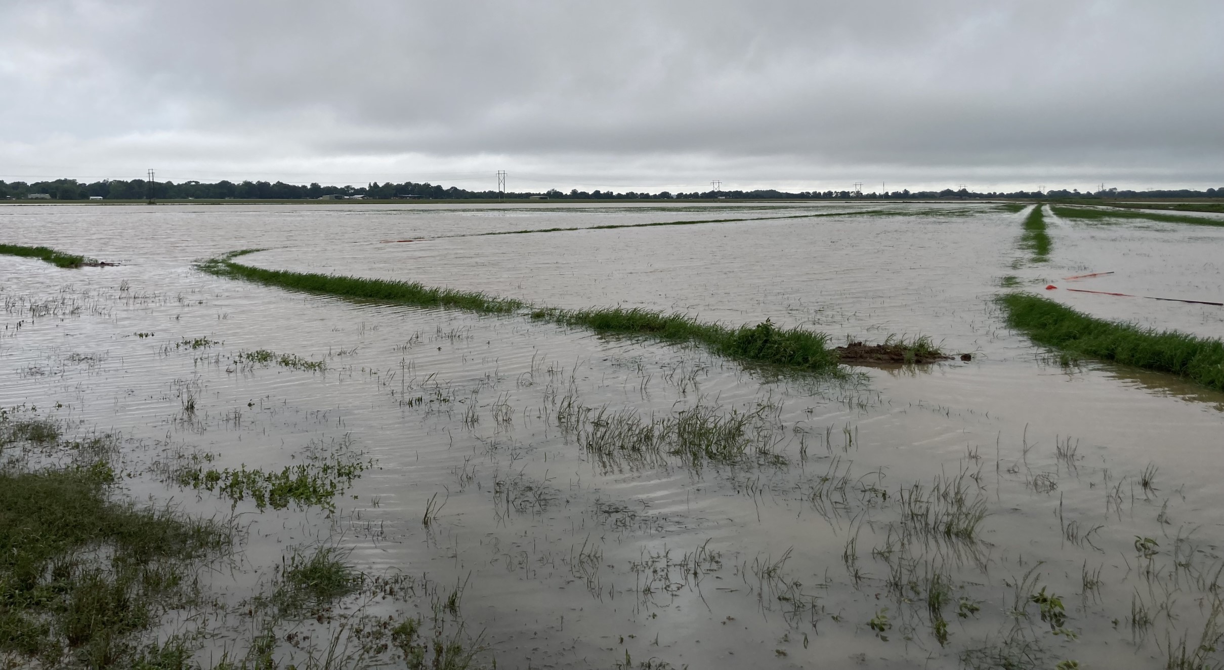 Farmers offered classes on risks