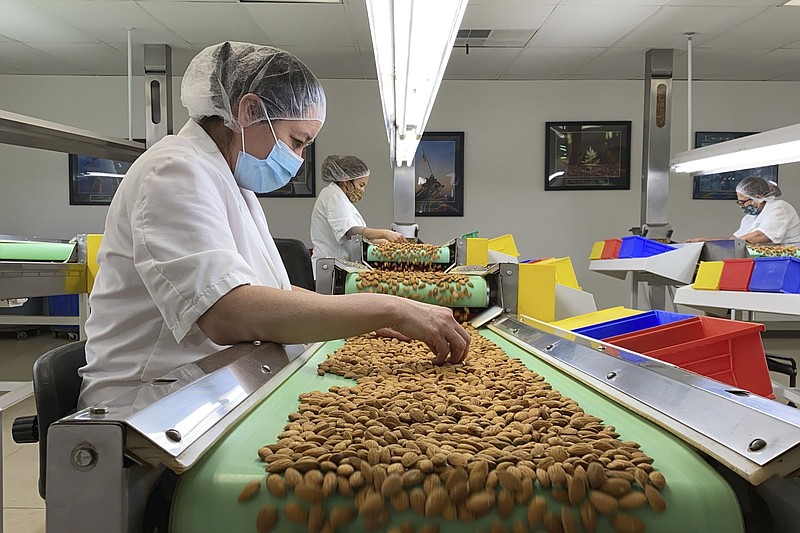 Employees inspect almonds in the processing facility at Steward & Jasper Orchards in Newman, Calif. last month.
(AP/Terry Chea)