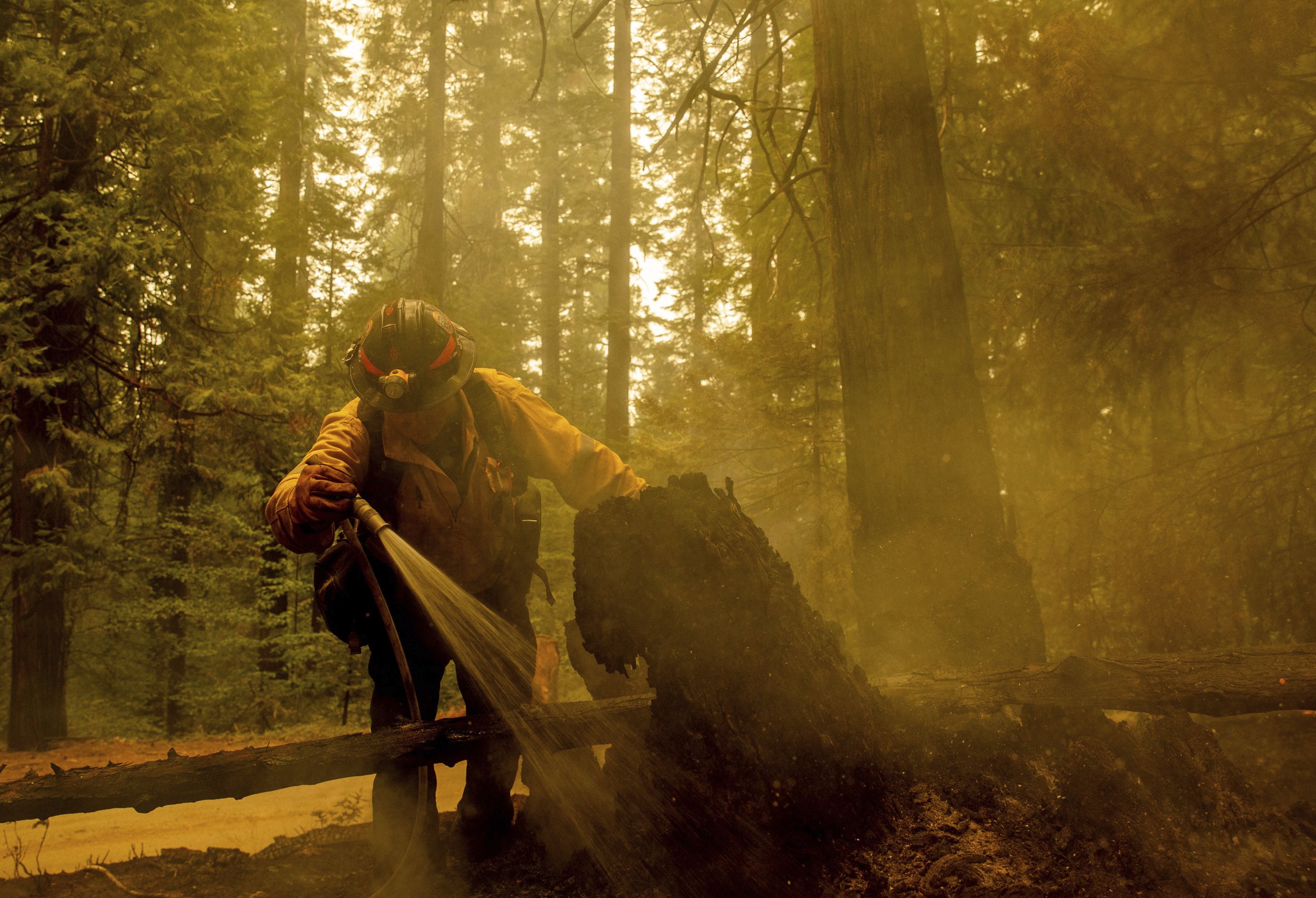 Wind concerns raise wildfire fears - Vimarsana News
