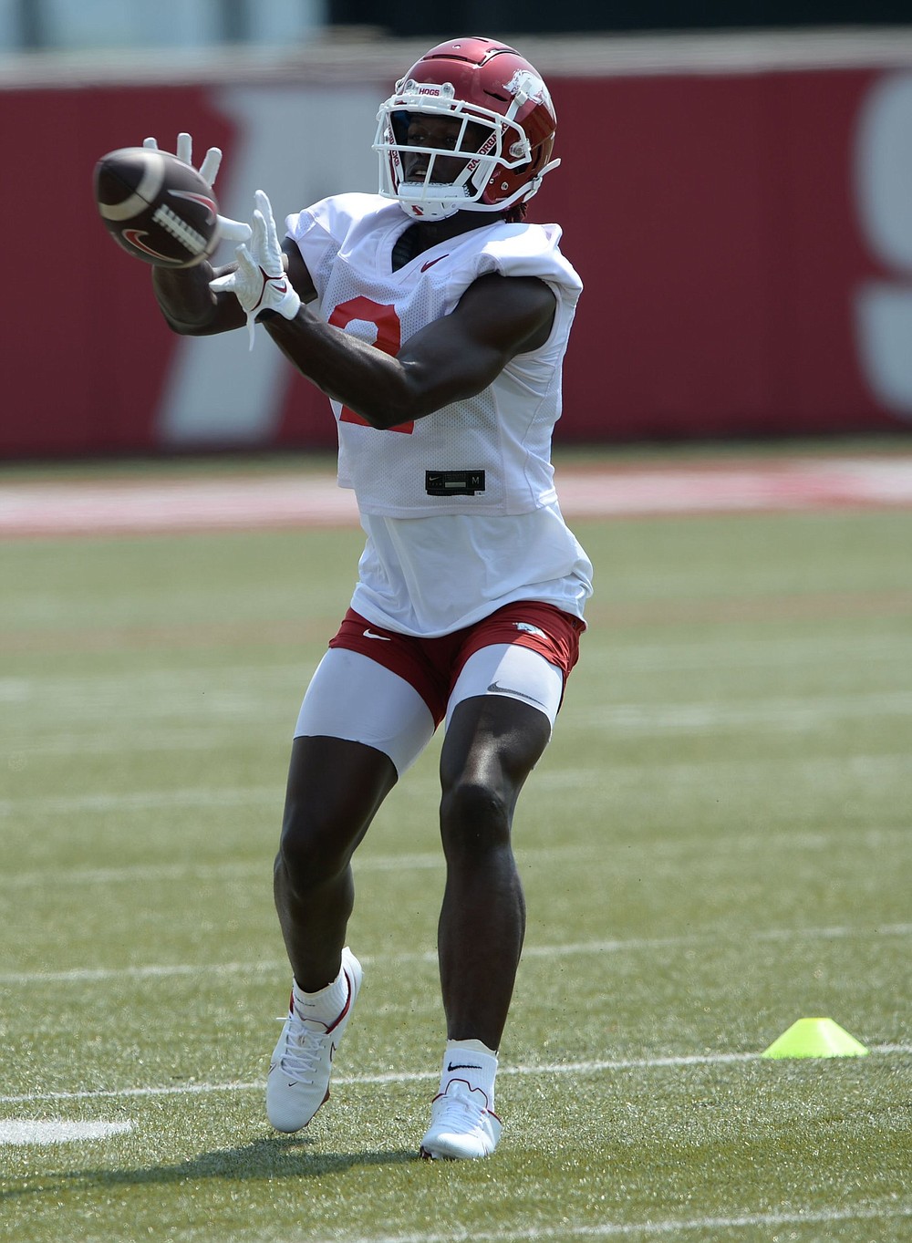 Razorbacks high on freshman receiver