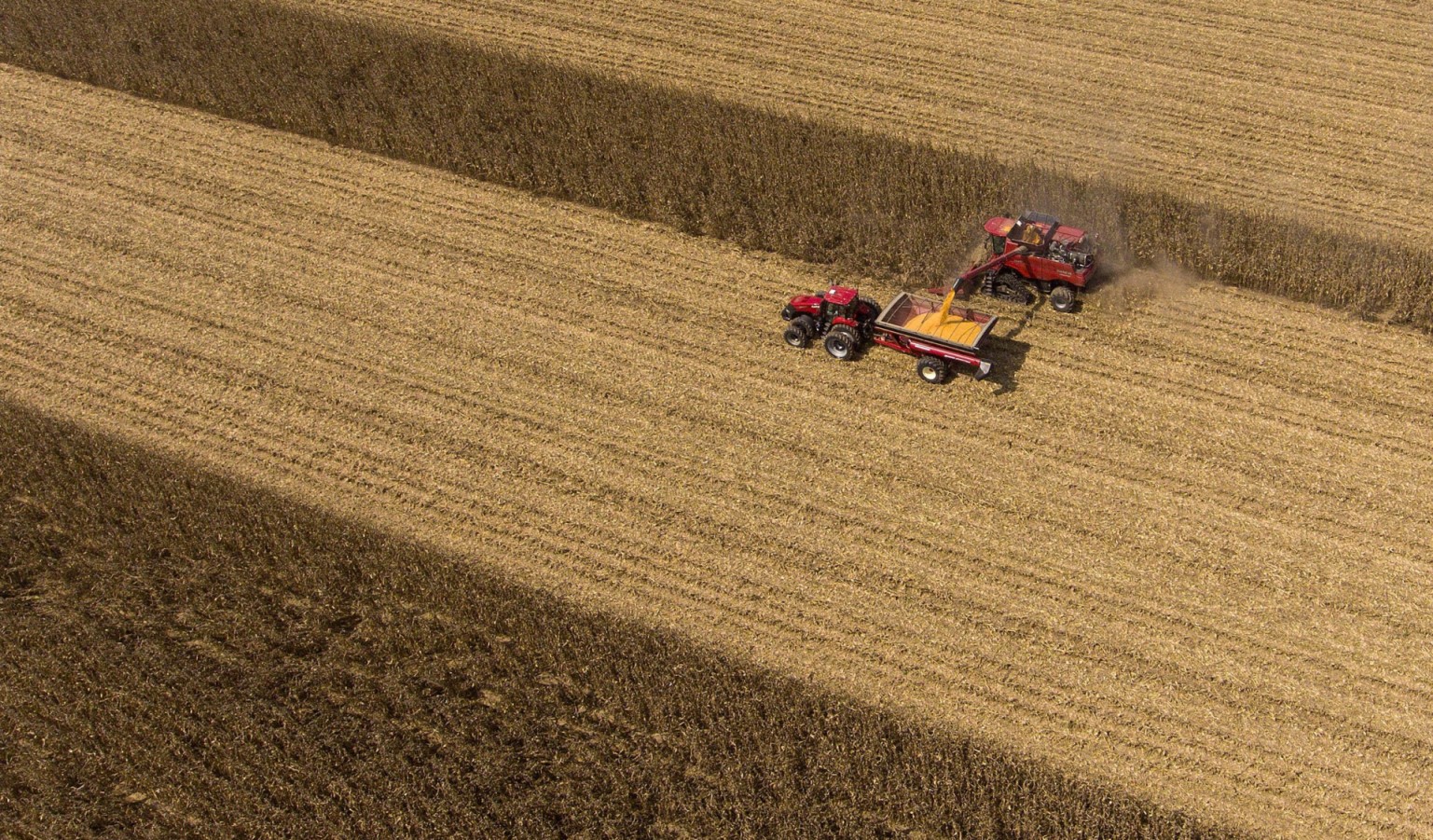 Arkansas farmers investing in corn with confidence