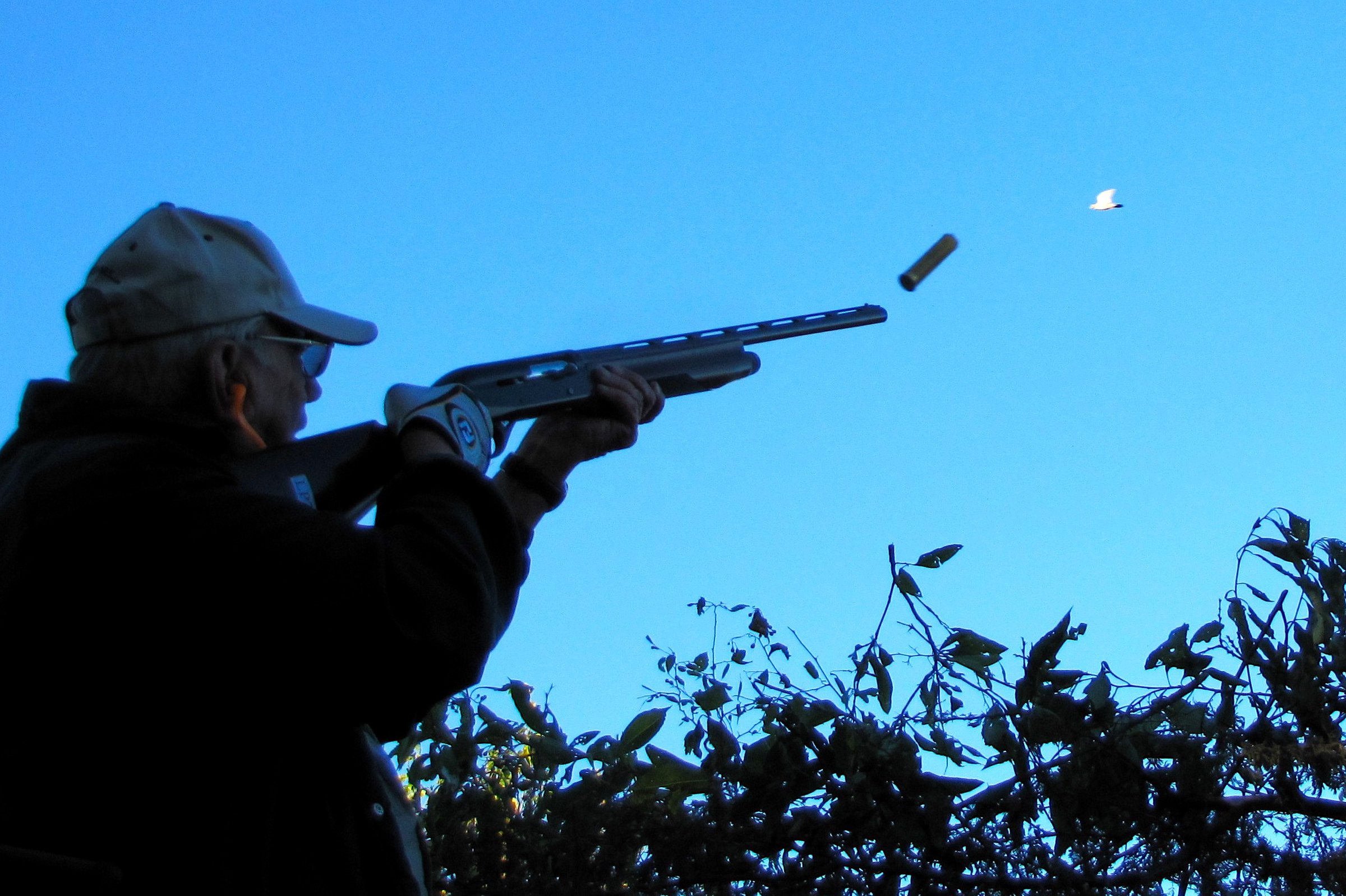 Time for wingshooting - Vimarsana News