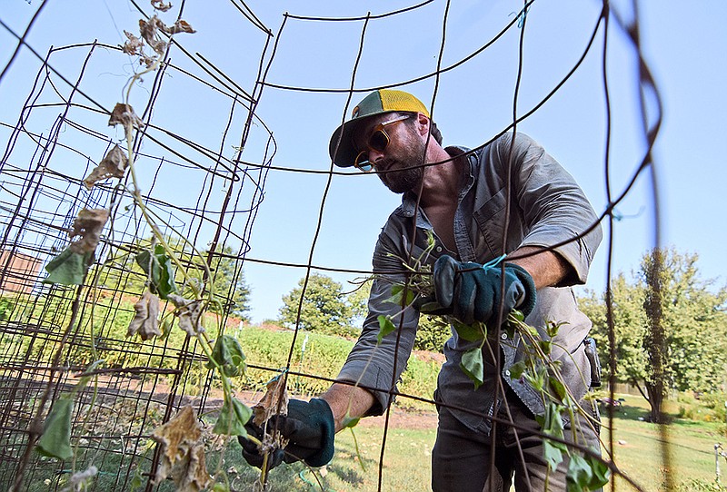 Division to guide courses on crops The Arkansas DemocratGazette