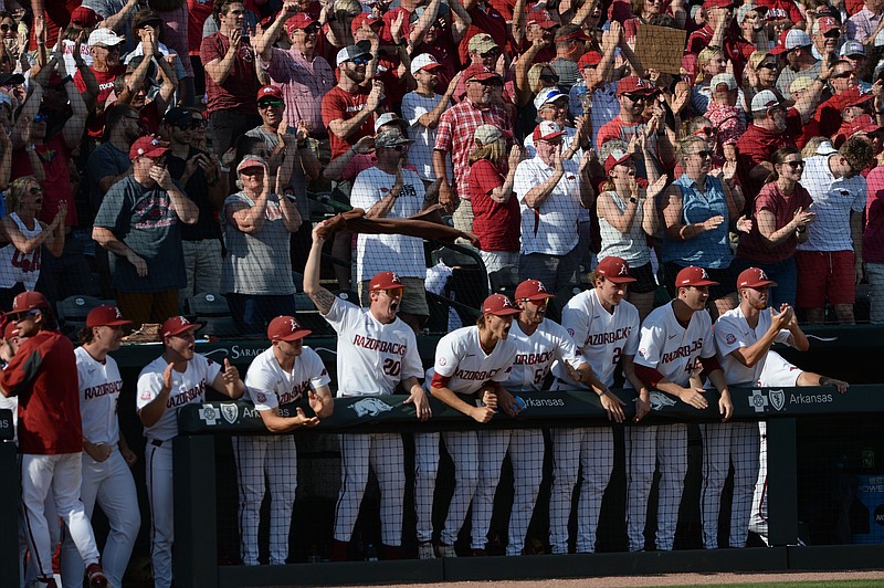 FILE -- Arkansas players and fans celebrate Friday, June 11, 2021, after second baseman Robert Moore hit a two-run home run during the second inning of the RazorbacksÕ 21-2 win over North Carolina State at Baum-Walker Stadium in Fayetteville. 
(NWA Democrat-Gazette/Andy Shupe)
