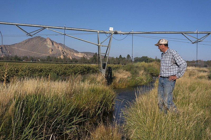 Matt Lisignoli walks near an irrigation sprinkler as it waters carrot plants on his farm, Smith Rock Ranch, in the Central Oregon Irrigation District in Terrebonne, Ore.
(AP/Nathan Howard)