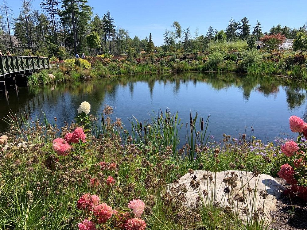 I went crazy over the Botanical Gardens in Boothbay Harbor Maine