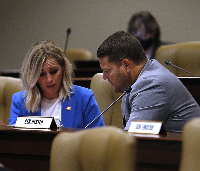 Sen. Breanne Davis, R-Russellville, talks Thursday with Sen. Bart Hester, R-Cave Springs, after a joint meeting of the House and  Senate Committees on State Agencies and Governmental Affairs at the state Capitol.
(Arkansas Democrat-Gazette/Thomas Metthe)