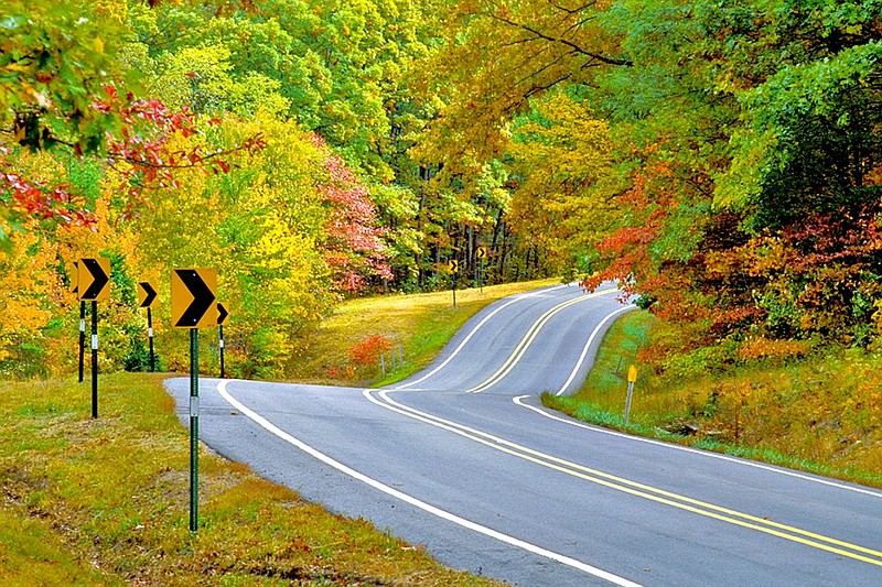 Arkansas' Scenic Highway 7, shown in this undated file photo, provides ample opportunity to take in fall foliage across the Ozark mountains.