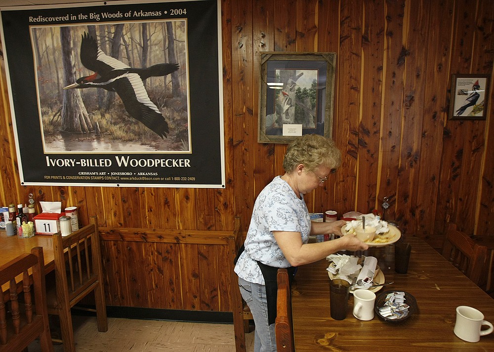 Waitress Virginia Wilhoite clears a table at Gene’s Restaurant and Barbeque in Brinkley in 2009. Even though business had slowed, a painting of an ivory-billed woodpecker still held a prominent spot several years after the woodpecker spurred a flurry of tourism.
(Arkansas Democrat-Gazette/Staton Breidenthal)