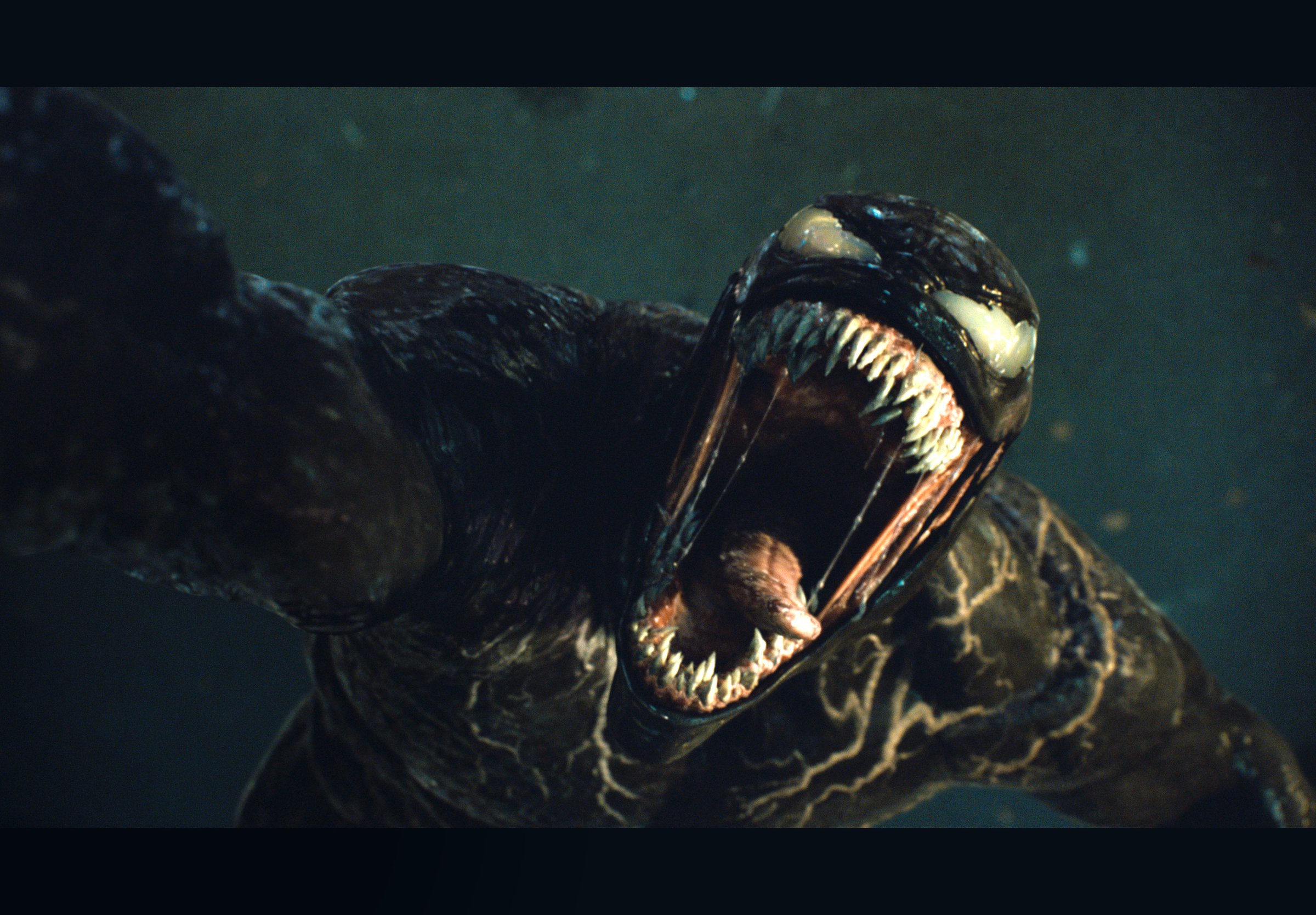 'Venom' has no sting - Vimarsana News