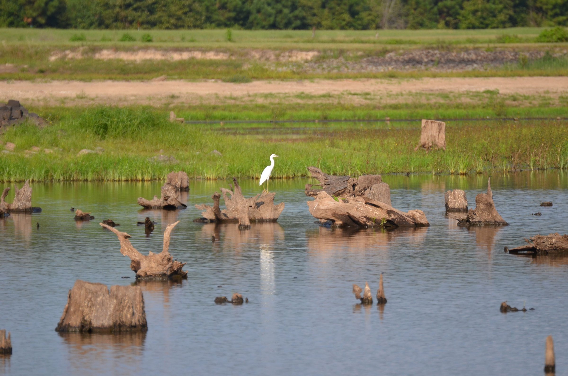 Improvements for lake underway