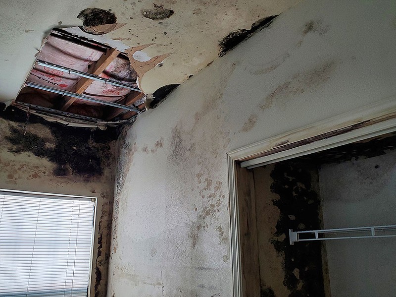 The ceiling in an apartment at Madison Heights, a low-income housing complex run by Little Rock's public housing authority, fell apart due to mold buildup and forced a tenant out of the unit, said Sylvester Smith, an attorney representing the nonprofit Central Arkansas Housing Corporation. Texas development company ITEX managed two Madison Heights complexes and the Homes at Granite Mountain until August. The Metropolitan Housing Alliance, which runs the nonprofit, took issue with ITEX not responding to maintenance requests such as the one to fix the ceiling and get rid of the mold. ITEX has demanded financial compensation for the Alliance ending their business relationship, but Smith said the Alliance sees no reason to comply. (Arkansas Democrat-Gazette/ Tess Vrbin).