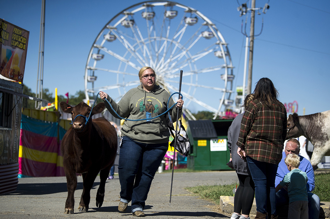 State Fair roars back from virtual - Vimarsana News