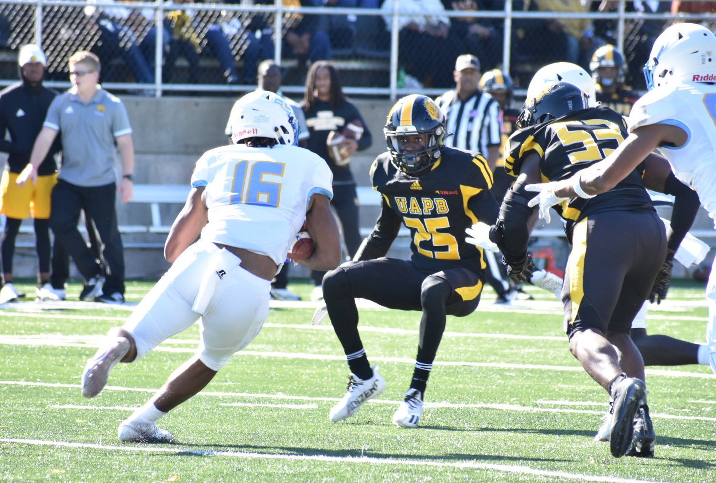 Jaguars run wild over Golden Lions