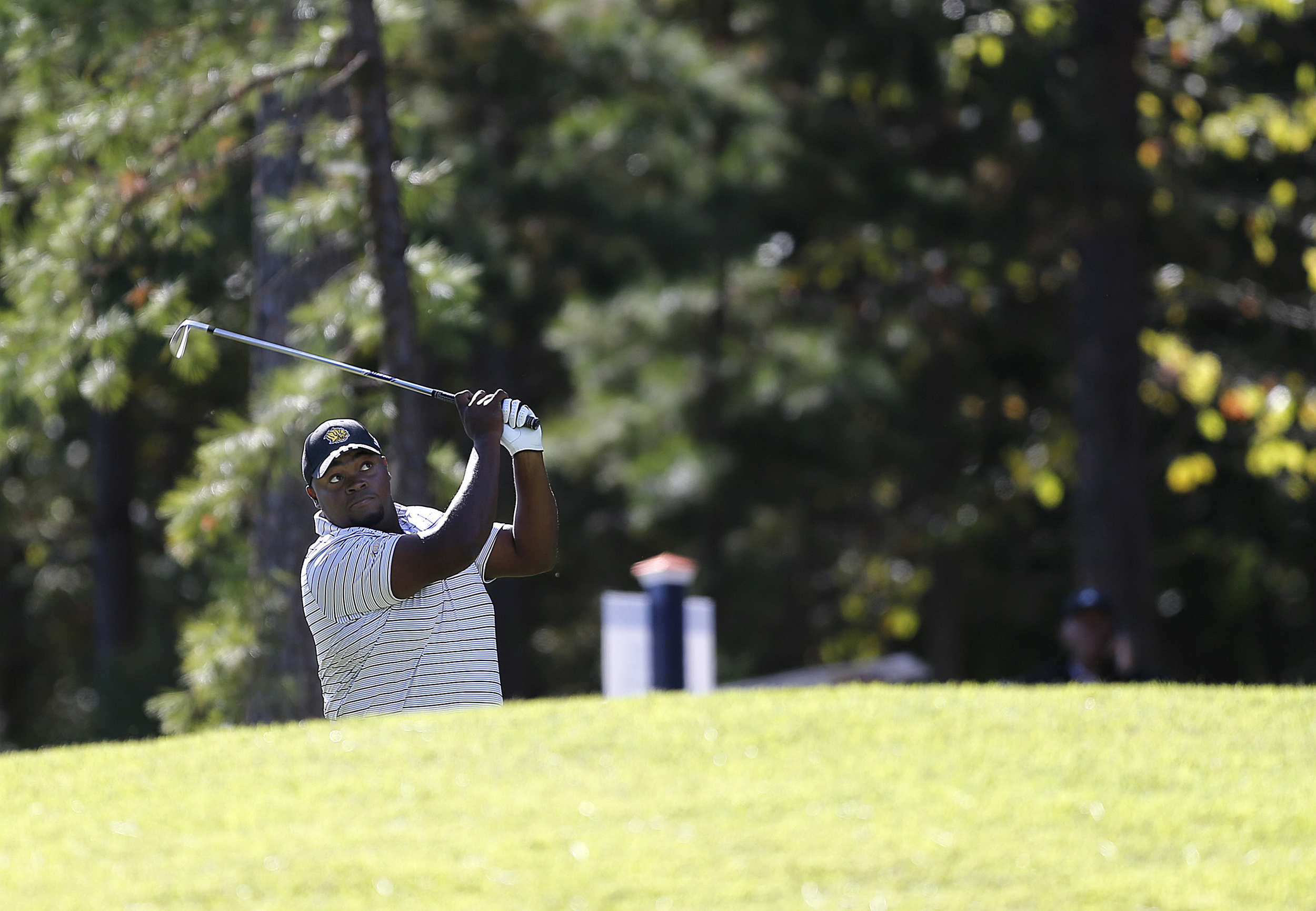 Golden Lions come in third in PGA play