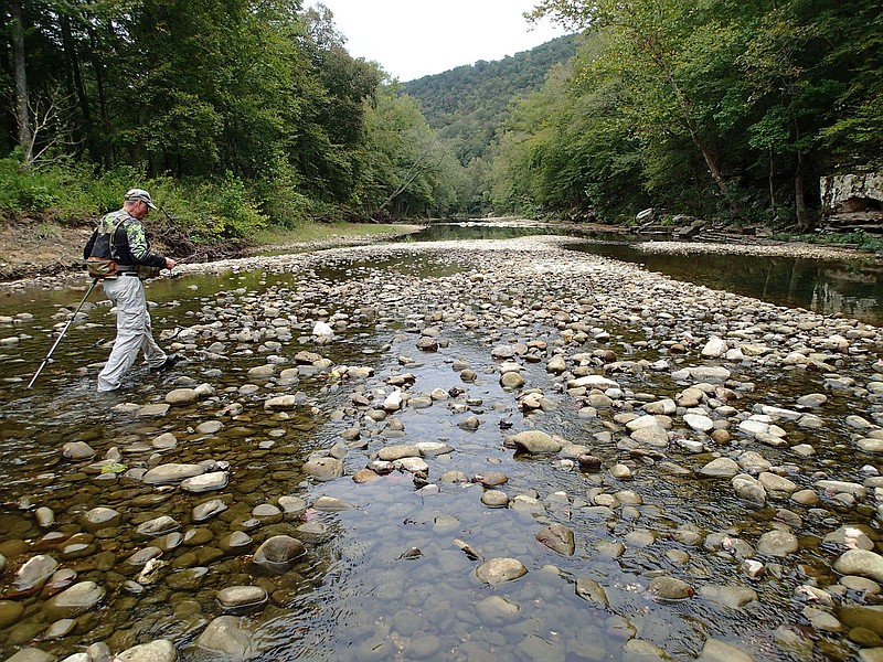 Walking and wading from pool to pool Oct. 1 2021 takes Bodishbaugh to the scenery and fish along the Buffalo National River. (NWA Democrat-Gazette/Flip Putthoff)